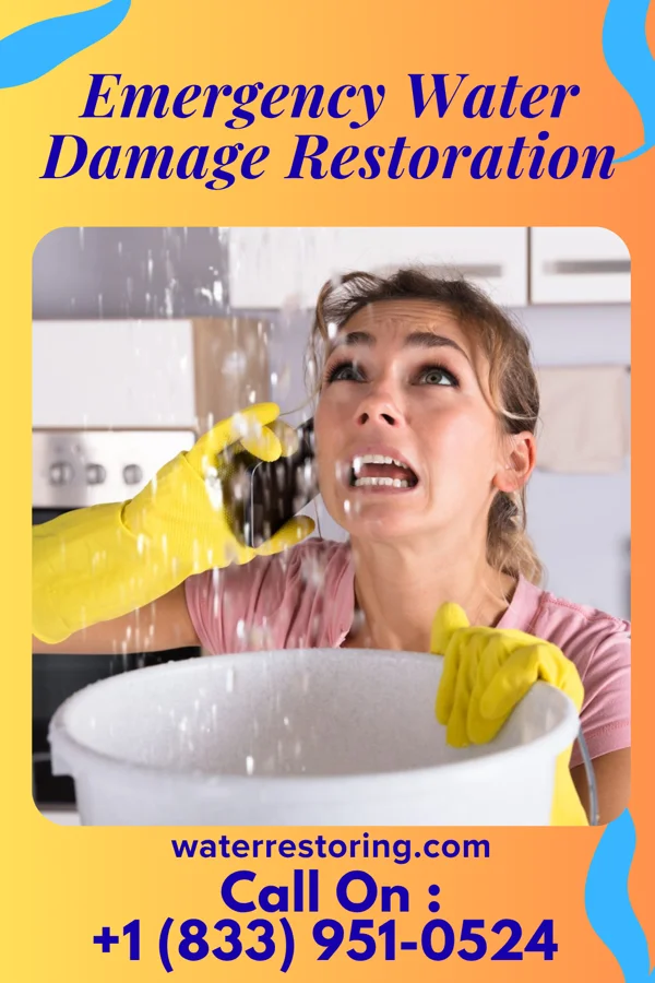 Emergency Water Damage Restoration in Ettrick, WI