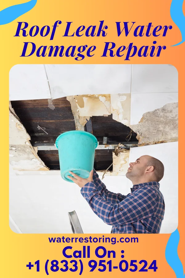 Roof Leak Water Damage Repair in Ettrick, WI