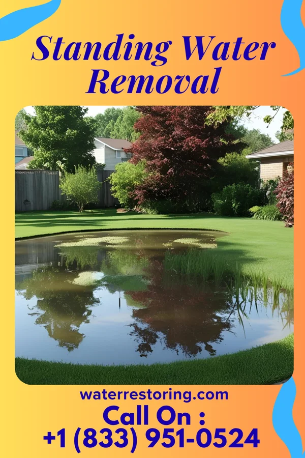 Standing Water Removal in Ettrick, WI